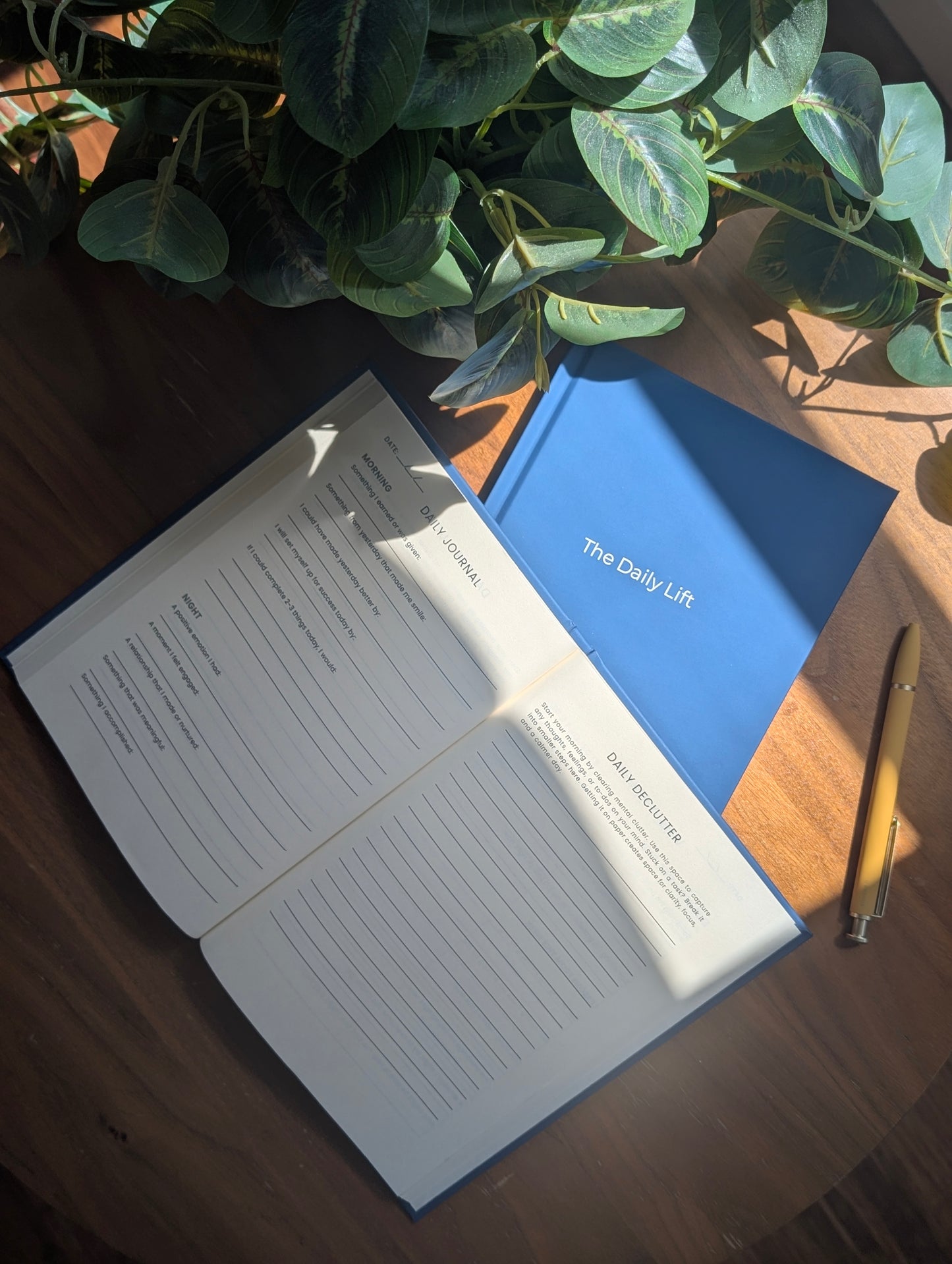 The Daily Lift – Founding Member Edition